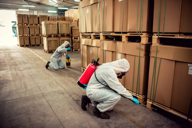 Best Exterminator Services  in Caldwell, ID