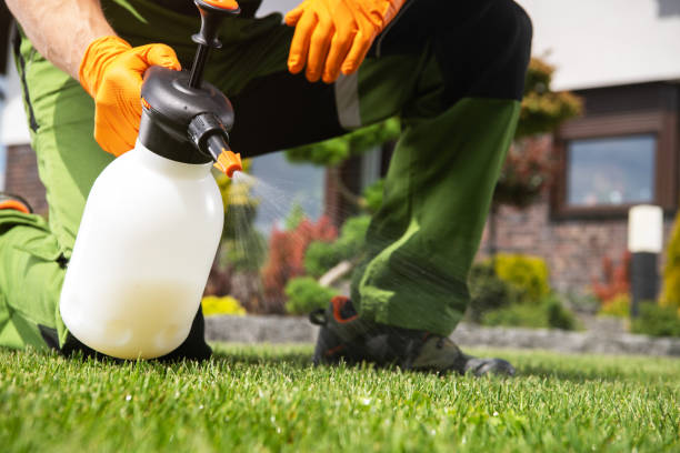 Best Pest Prevention Services  in Caldwell, ID