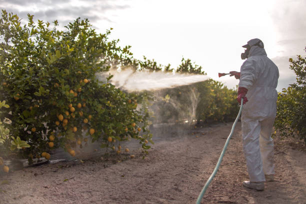 Best Pest Inspection Near Me  in Caldwell, ID