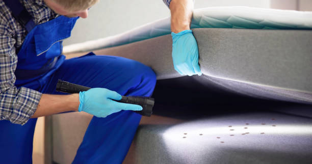 Best Emergency Pest Control  in Caldwell, ID